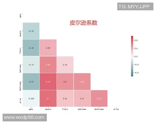 杭州篮球队近期状态分析与表现评估数据解读